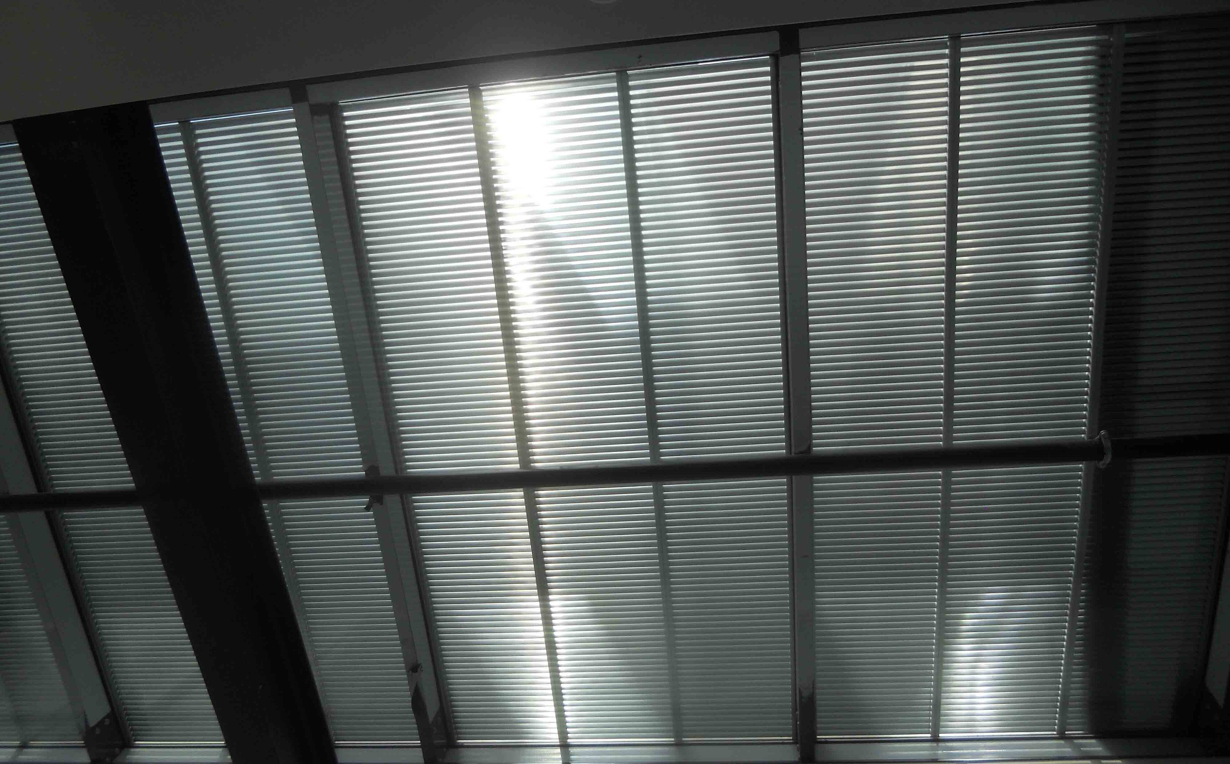 School of Finance