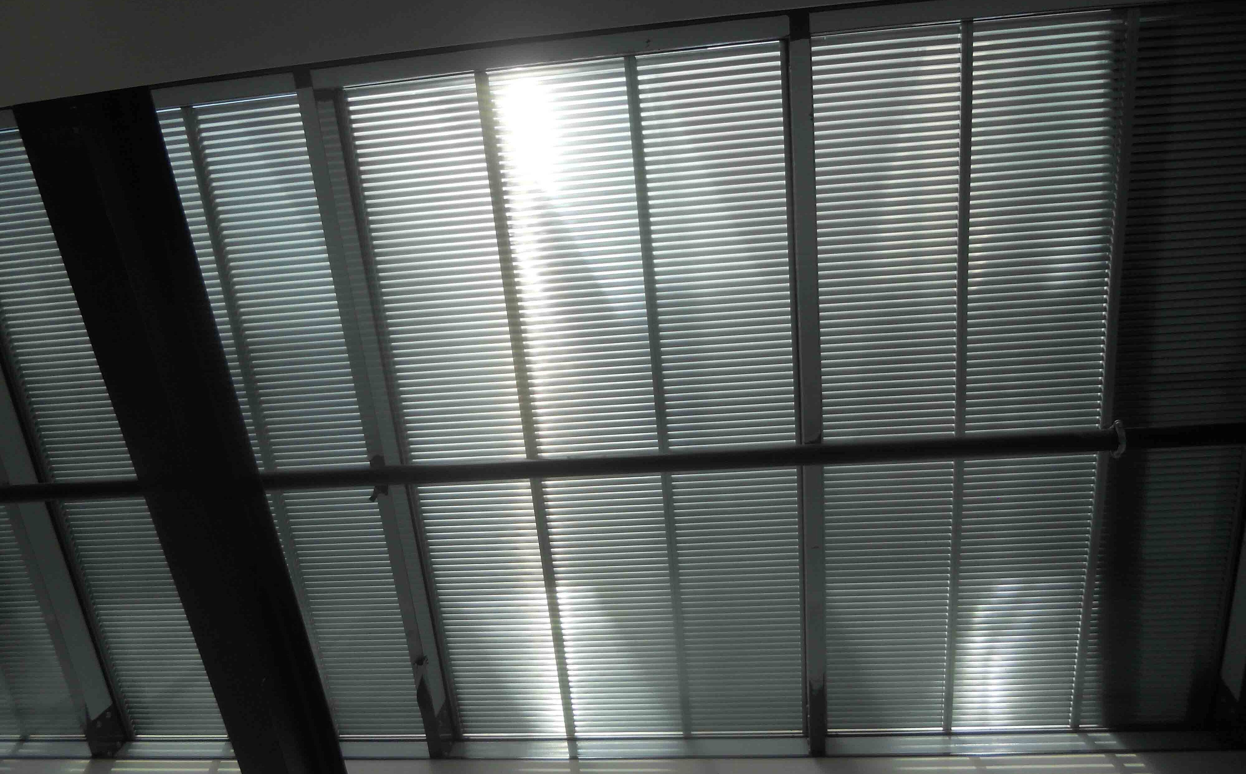 School of Finance