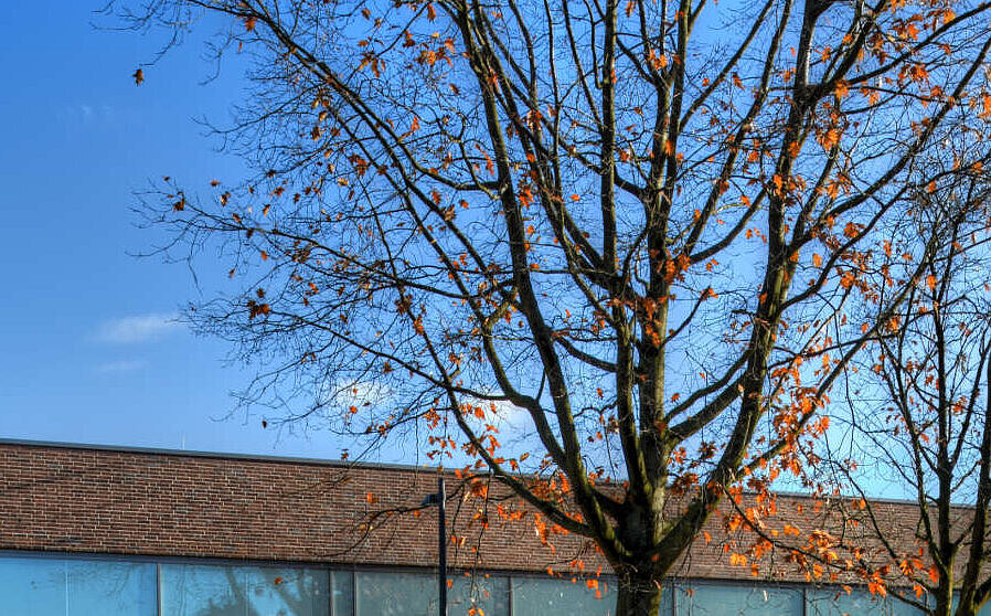 Double Sports Hall - High School Nordhorn