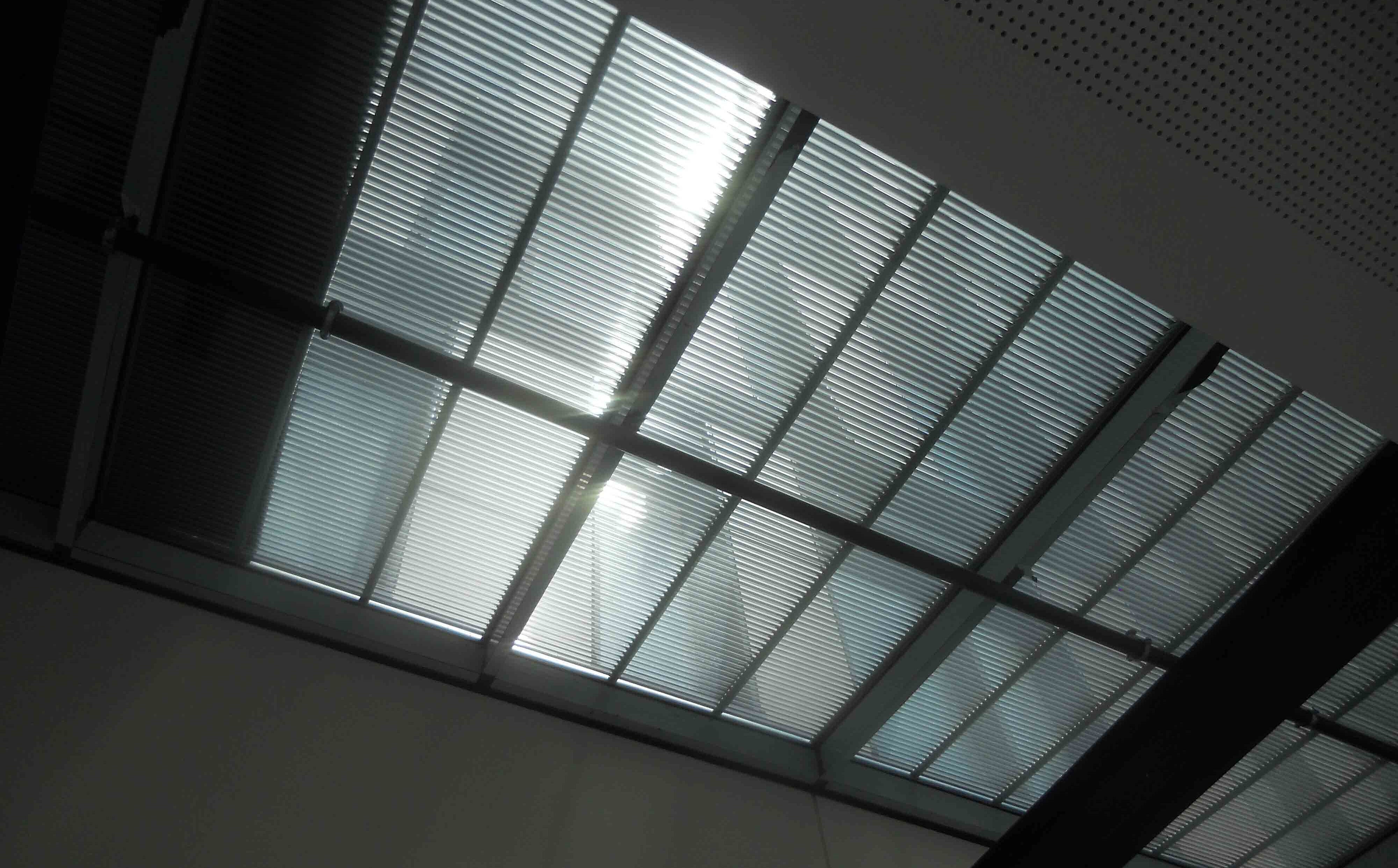 School of Finance