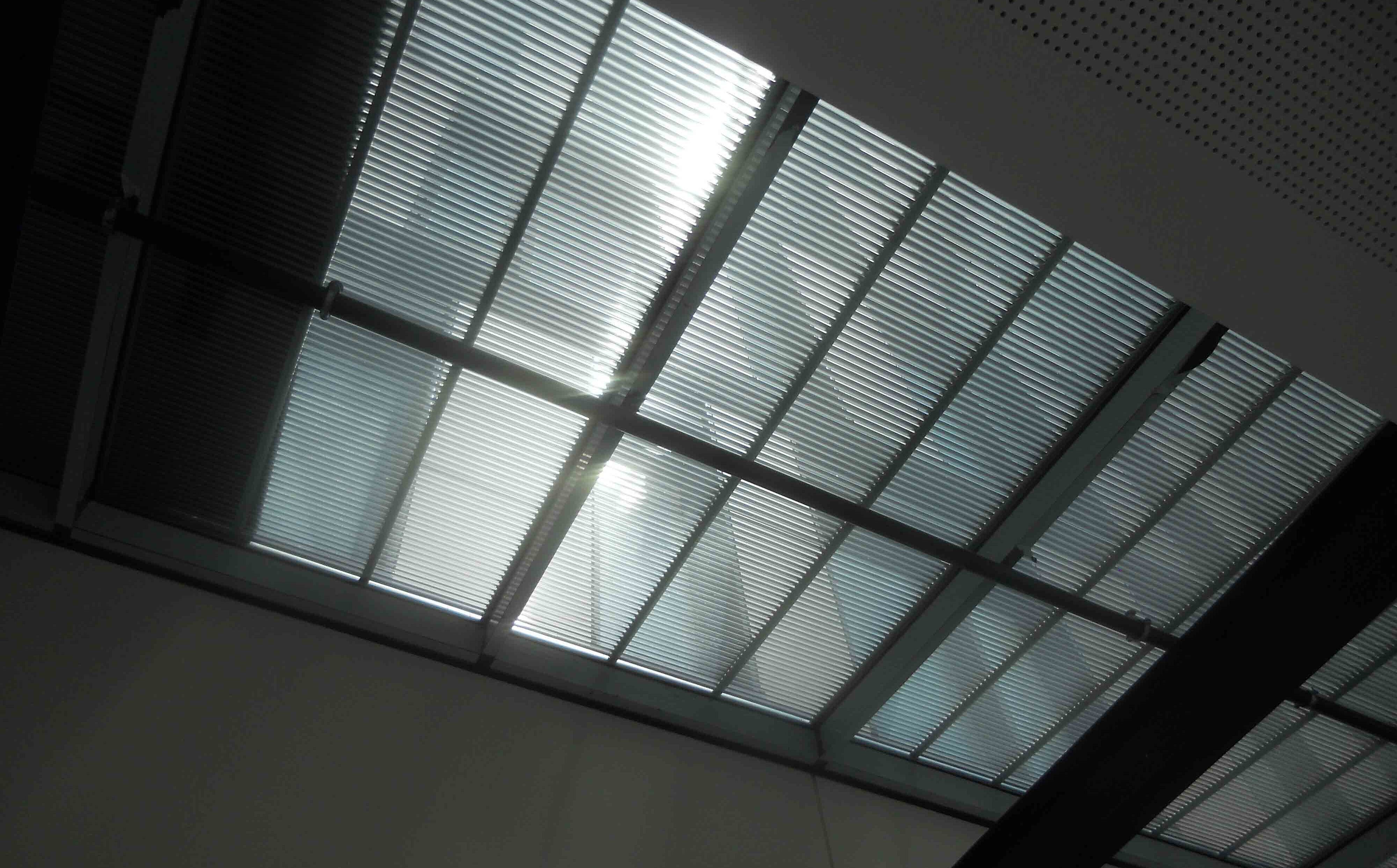 School of Finance